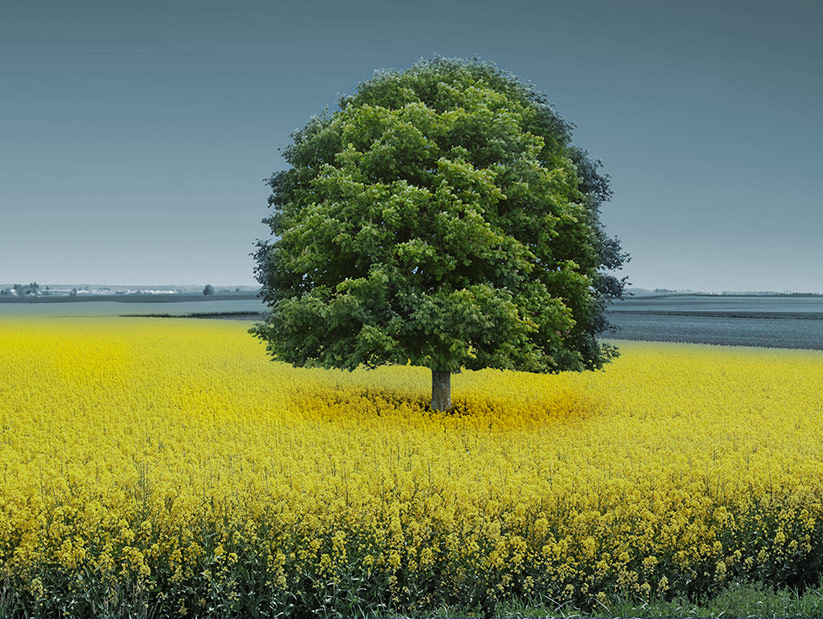 atreus_4zu3 feature und header mobile management of a plant in germany