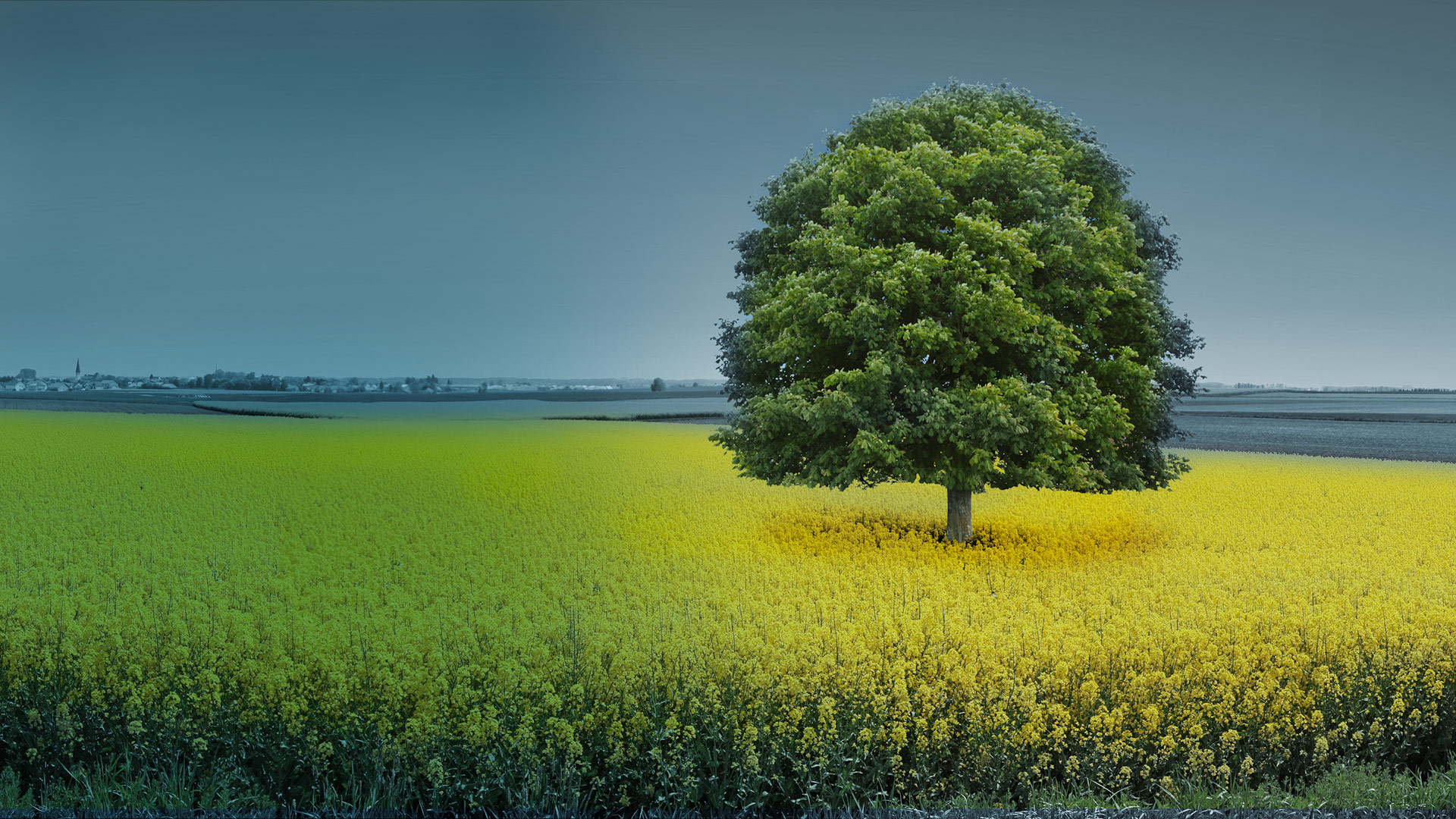 atreus_header management of a plant in germany